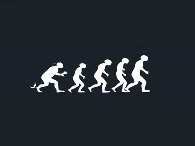Example Of Convergent Evolution