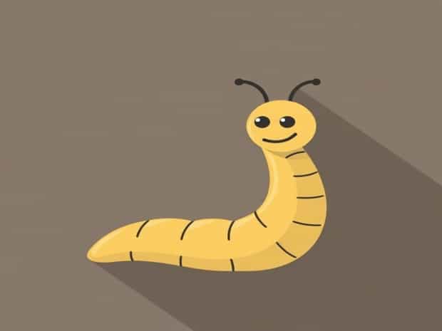 Five Economic Importance Of Roundworm