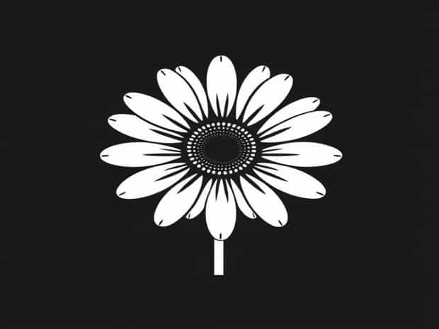 Gerbera Transvaal Daisy Uses