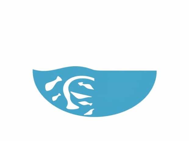 How Is The Difference Between Sea And Ocean