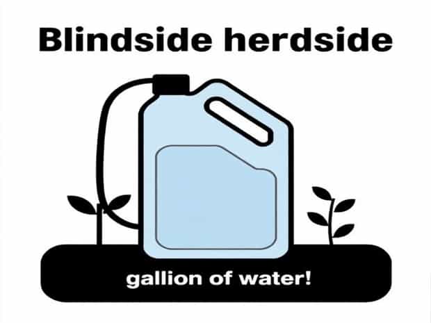 How Much Blindside Herbicide For A Gallon Of Water