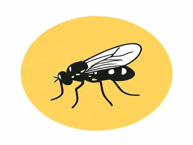 How To Get Rid Of Greenfly