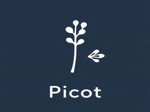 How To Pronounce Picot