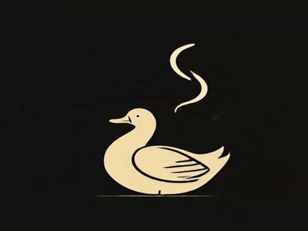 How To Wrap Peking Duck