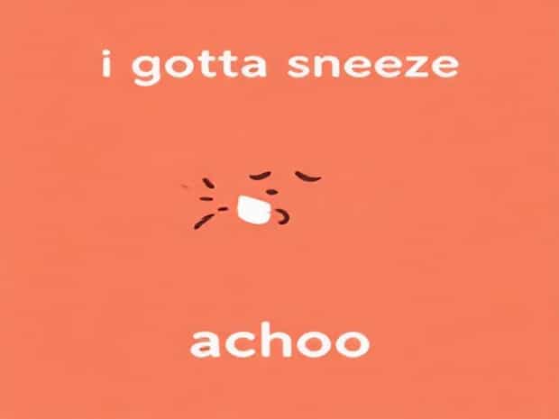 I Gotta Sneeze Achoo