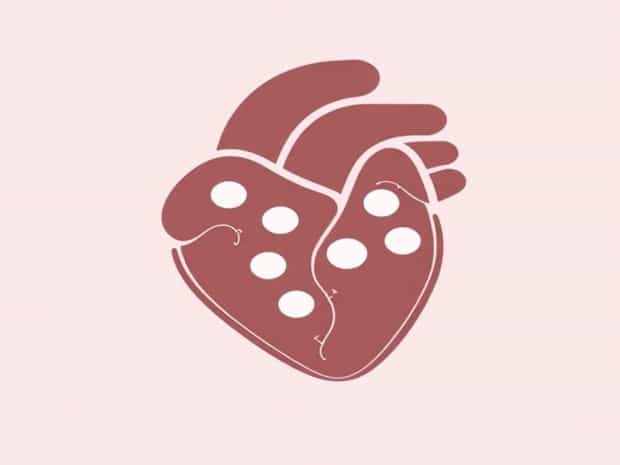 Is Cardiac Muscle Multiple Nuclei