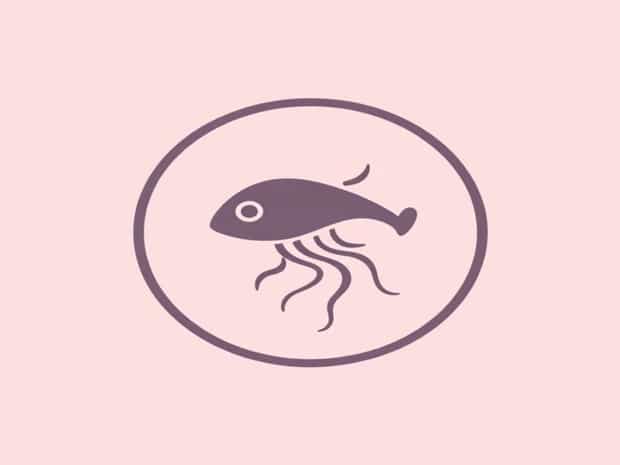 Is Salmonella A Bacteria