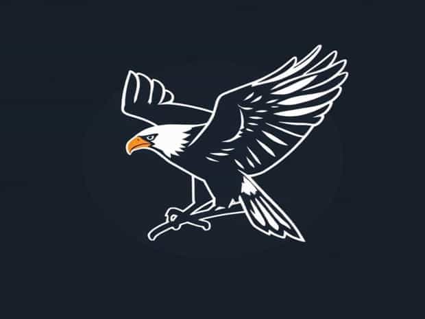 It Is The Biggest Bird Of Prey