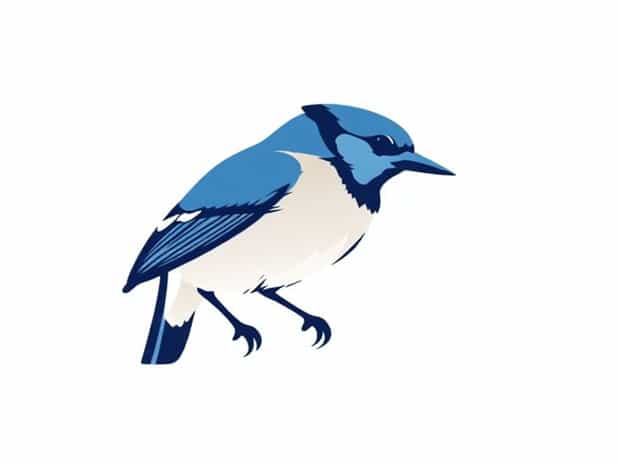 Meaning Of Seeing A Blue Jay