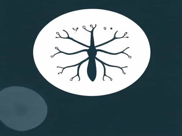 Mechanism Of Innate Immunity