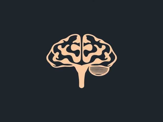 Middle Cerebellar Peduncle Function