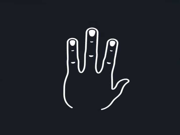 Middle Phalanges Of Fingers