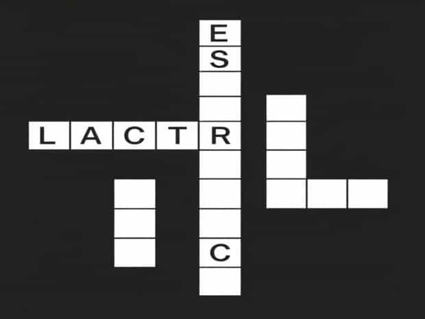 More Lacteal Crossword Clue