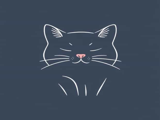 Most Affectionate Cat Breeds