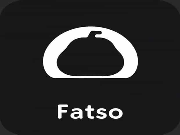 Other Words For Fatso