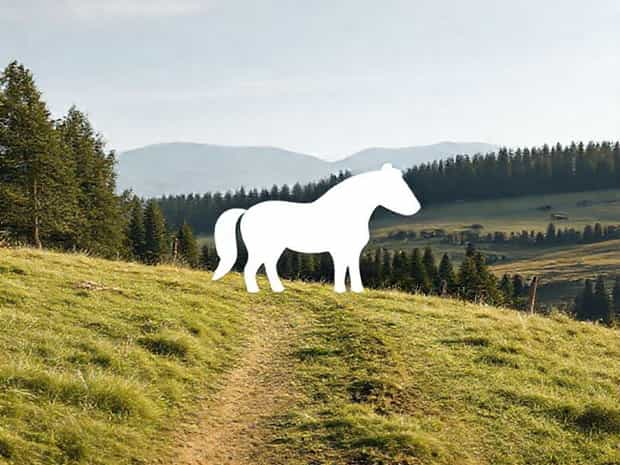 Other Words For Neigh