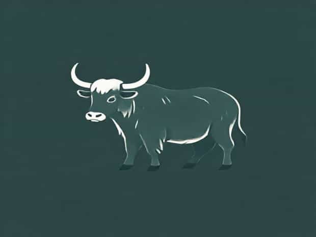 About Yak In Hindi