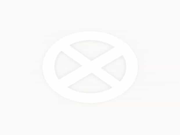 Afforestation Is A Good Way To Prevent