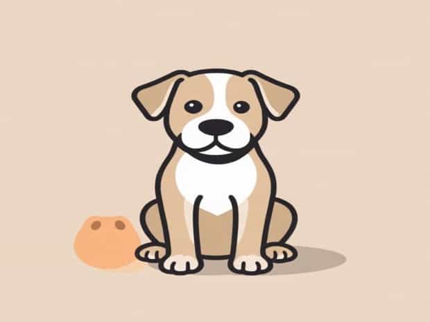 Age To Housebreak Puppy