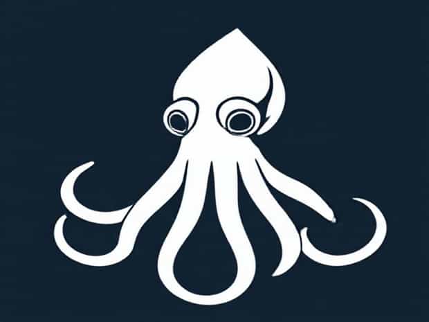 Are Colossal Squid Real