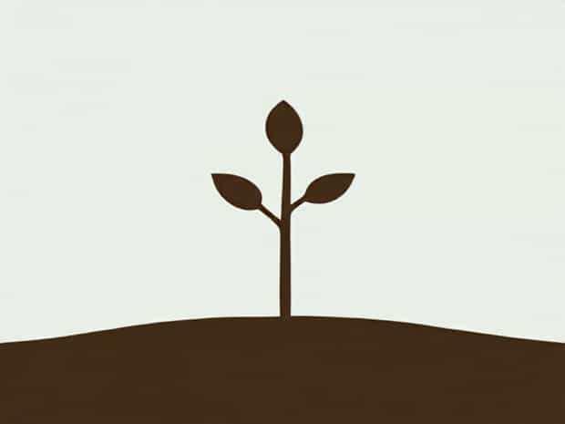 Best Soil For Compaction