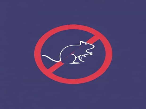 Best Way To Deter Rats