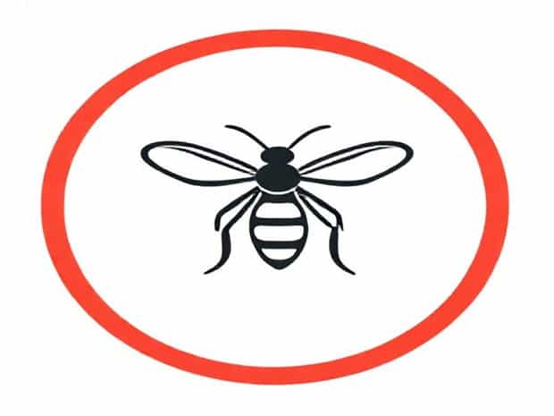 Best Way To Deter Wasps