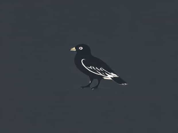 Biome Of A Great Skua