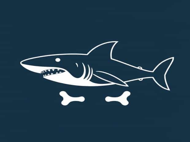 Bones Do Sharks Have Bones