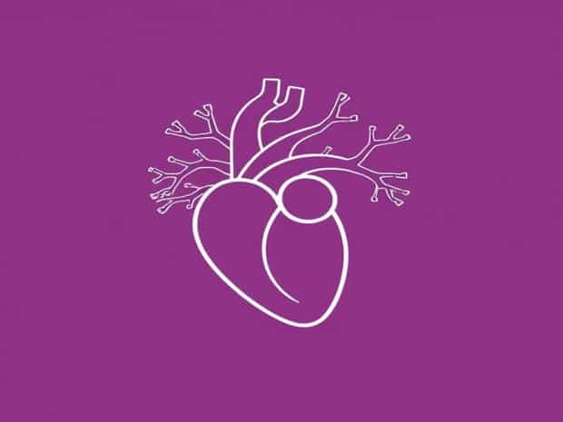Branches Of Coronary Artery