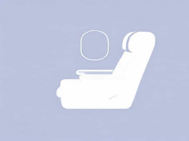 Business Class All Nippon Airways