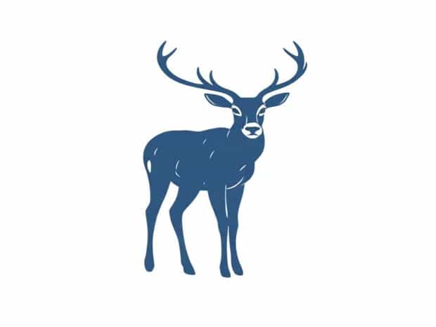 Can Deer See Blue Jeans