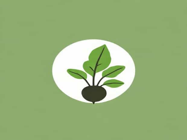 Can You Eat Beet Greens