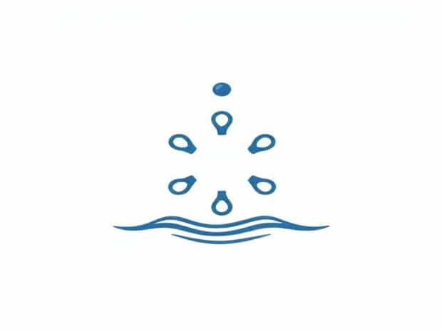 Can You Ionize Water