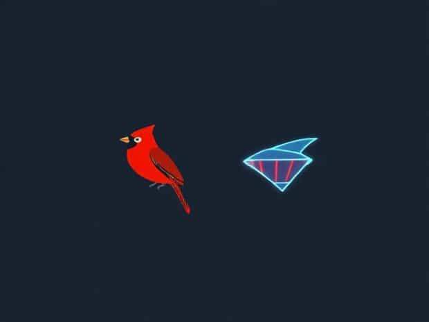 Cardinal Tetra Vs Neon Tetra
