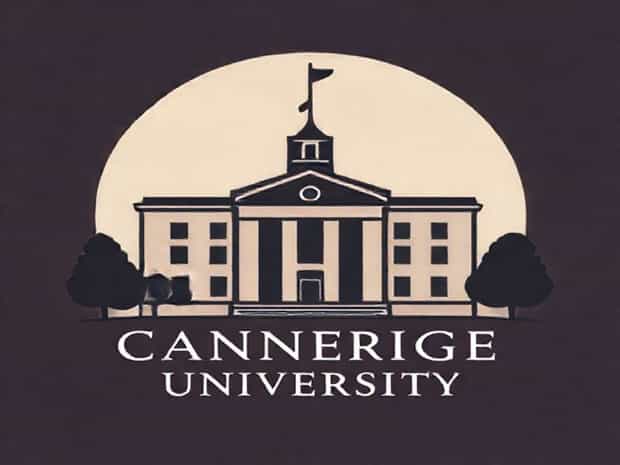 Carnegie Mellon University Cost