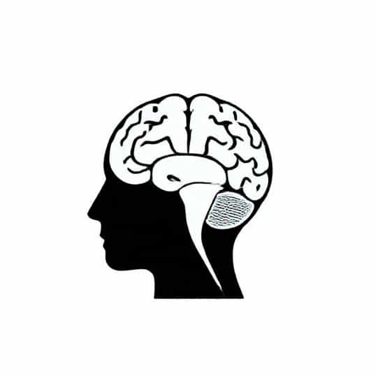 Cerebellar Dysfunction Often Causes Quizlet