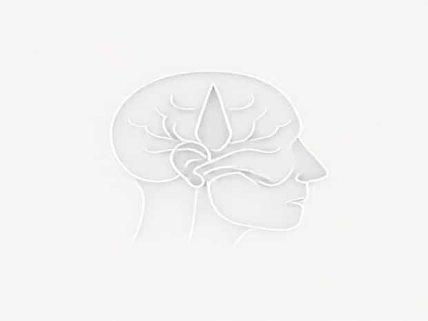 Cranial Nerve 1 Olfactory