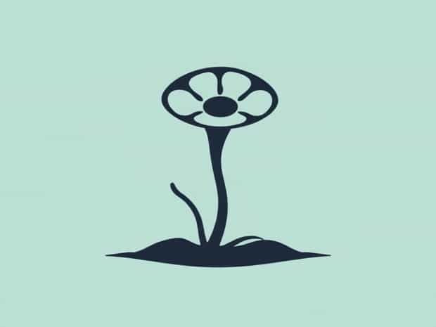 Does Each Villus Contains A Lacteal