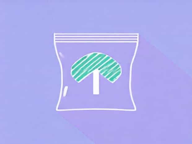Dollar Tree Ziploc Bags
