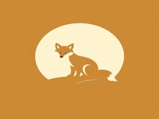 Fox Cub Barrow Upon Soar