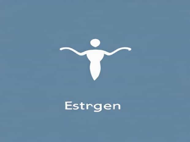 Function Of Estrogen Hormone In Females