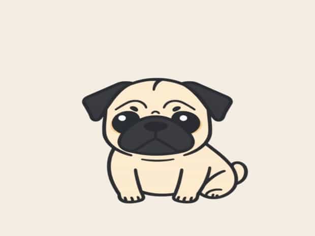 How Much Is A Baby Pug