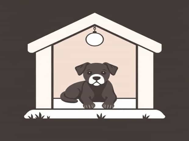 How To Housebreak A Shelter Dog