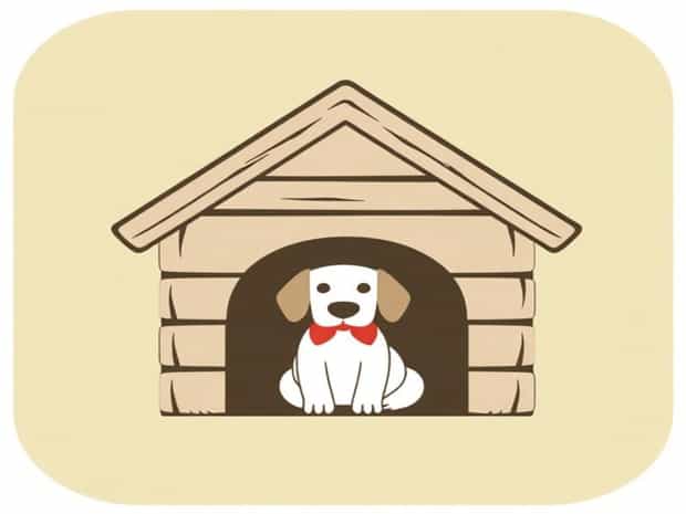 How To Make A Dog House