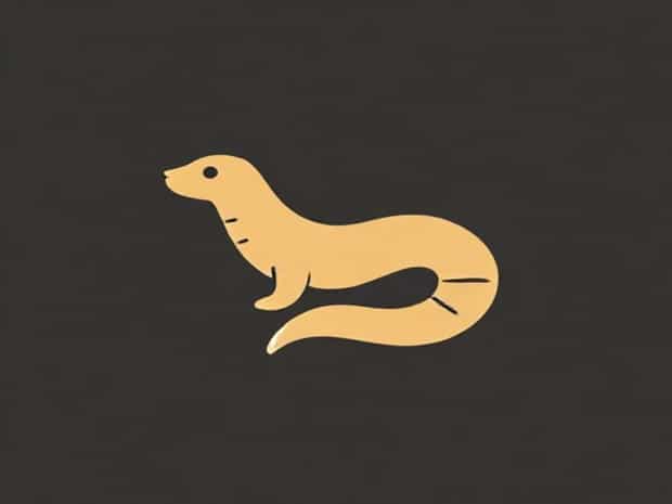 Is Canine Roundworm Zoonotic