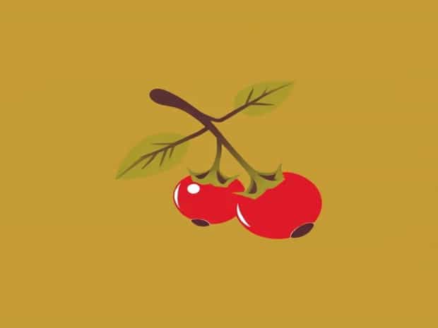 Is Cranberry A Fruit