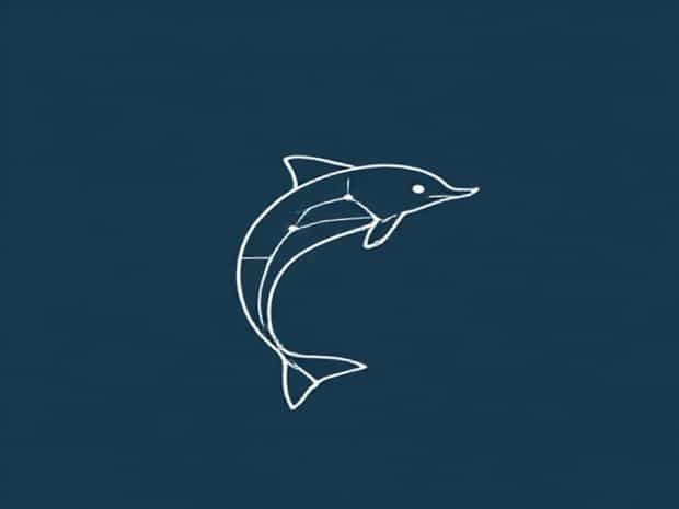 Is Delphinus A Constellation