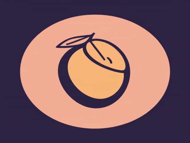 Is Mango A Climacteric Fruit
