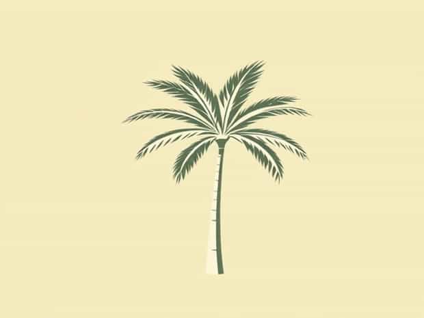 Japanese Sago Palm Tree